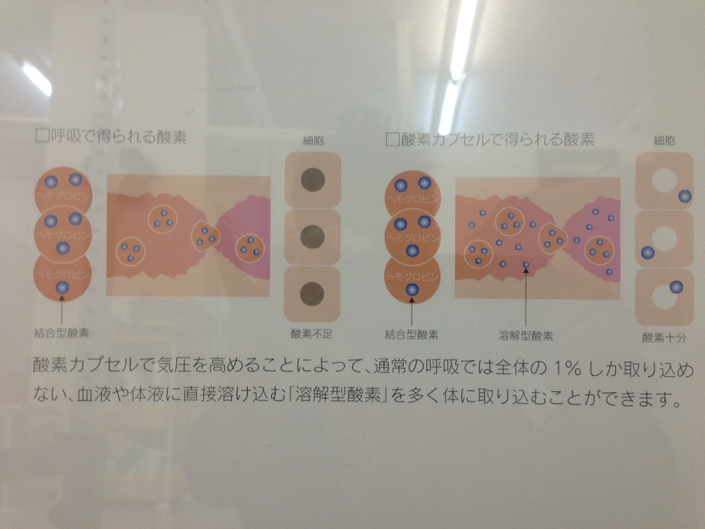 酸素カプセル効果～【市川市南行徳・行徳・浦安・新浦安のエコルスタ整骨院】.jpg