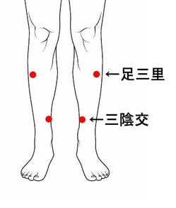 【市川市南行徳・行徳・浦安・新浦安・妙典】の整骨院口コミ.jpg