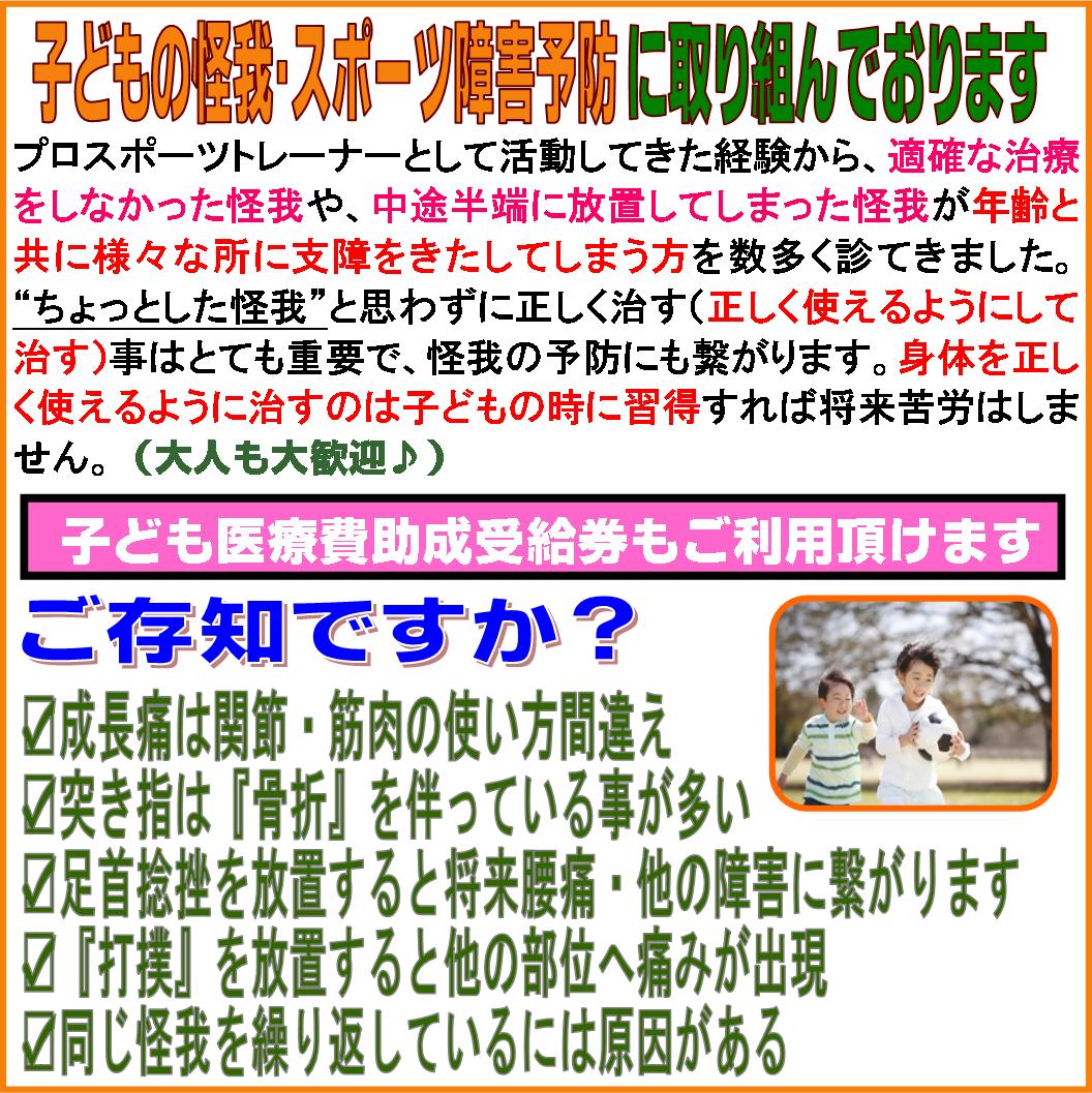 子どもの怪我も専門的にエコルスタはり・きゅう整骨院で.jpg