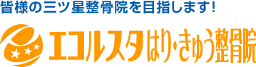 エコルスタはりきゅう整骨院