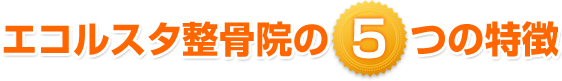 エコルスタ整骨院の5つの特徴